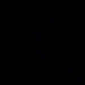 Meet your Posher, Steen